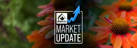 Seasonal Inventory Growth Meets Steady Demand